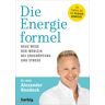 Test orbisana.de Die Energieformel - Alexander Rondeck, Gebunden