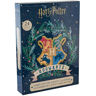 Distrineo Adventskalender Harry Potter Hogwarts