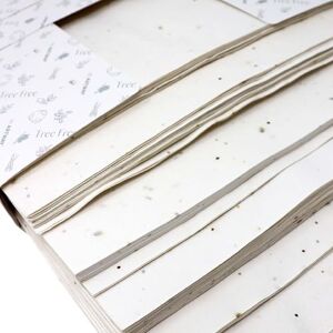 ARTWAY Tree Free Wildblumen Saatgut Papierpaket 100 x A4-Blätter -180gsm Wildblumen Saatgut Baumwoll-Lappenpapier für Kunsthandwerk, Wildblumensaatgut ARTWAY Tree Free Wildblumen Saatgut Papierpaket 100 x A4-Blätter -180gsm Wildblumen Saatgut Baumwoll-Lappenpapier für Kunsthandwerk, Wildblumensaatgut