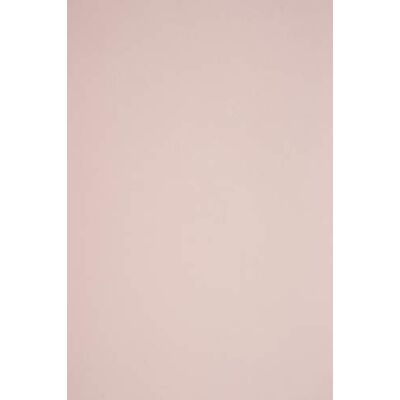 Netuno 50x Tonpapier Blassrosa DIN A4 21x29,7 cm farbiges Bastelpapier bunt 115g Sirio Color Nude · hochwertiges rosafarbiges Feinpapier für Karten, Einladungen, Origami & Dekoration Netuno 50x Tonpapier Blassrosa DIN A4 21x29,7 cm farbiges Bastelpapier bunt 115g Sirio Color Nude · hochwertiges rosafarbiges Feinpapier für Karten, Einladungen, Origami & Dekoration