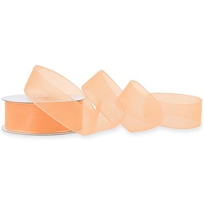 Creativery Organzaband 25mm x 25m Rolle FARBAUSWAHL in 3/6/12/25/38mm transparent, farbecht & waschbar Schleifenband für Hochzeit Geschenkband zum Verpacken Dekorieren Basteln Apricot 714 Creativery Organzaband 25mm x 25m Rolle FARBAUSWAHL in 3/6/12/25/38mm transparent, farbecht & waschbar Schleifenband für Hochzeit Geschenkband zum Verpacken Dekorieren Basteln Apricot 714