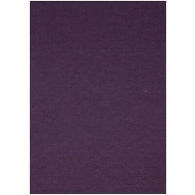CREATIV DISCOUNT Trendy Filzplatte, 20x30cm, 10 Stück, Bastelfilz mit 1 mm Stärke (Pflaume) CREATIV DISCOUNT Trendy Filzplatte, 20x30cm, 10 Stück, Bastelfilz mit 1 mm Stärke (Pflaume)