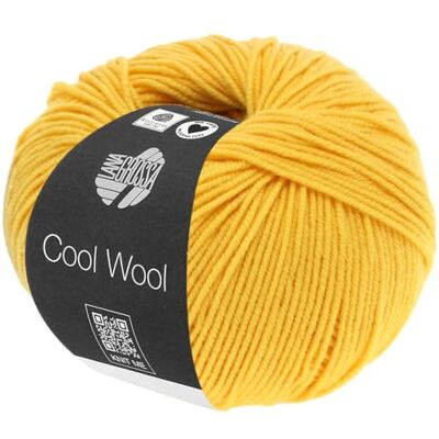 Lana Grossa Cool Wool Uni Extrafeine Merinowolle waschmaschinenfest und filzfrei Handstrickgarn aus 100% Schurwolle (Merino extrafein) 50g Wolle zum Stricken & Häkeln 160m Garn FB 419 Lana Grossa Cool Wool Uni Extrafeine Merinowolle waschmaschinenfest und filzfrei Handstrickgarn aus 100% Schurwolle (Merino extrafein) 50g Wolle zum Stricken & Häkeln 160m Garn FB 419