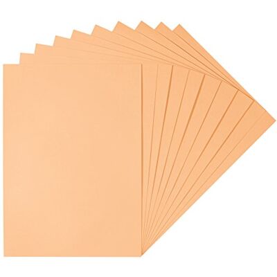 Herlitz 227280 Tonzeichenkarton 50 x 70 cm, 10 Stück, aprikose Herlitz 227280 Tonzeichenkarton 50 x 70 cm, 10 Stück, aprikose