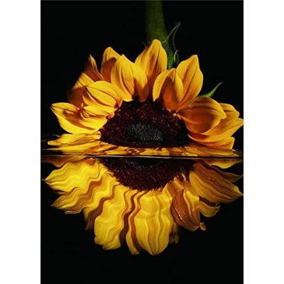 Pracht Creatives Hobby Diamond Painting Set, Bild mit Motiv Sonnenblume und Zubehör, Größe ca. 25 x 35 cm, Bastelset zum Malen mit Glitzersteinchen für Kinder ab 5 Jahren Pracht Creatives Hobby Diamond Painting Set, Bild mit Motiv Sonnenblume und Zubehör, Größe ca. 25 x 35 cm, Bastelset zum Malen mit Glitzersteinchen für Kinder ab 5 Jahren