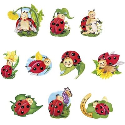 Ideen mit Herz 3-D Motive, ausgestanzt, ca. 7-10 cm, 10 Stück im Beutel Bilder zum Basteln & Dekorieren Grußkarten selber machen Bildmotive für Scrapbooking & DIY-Deko (Marienkäfer) Ideen mit Herz 3-D Motive, ausgestanzt, ca. 7-10 cm, 10 Stück im Beutel Bilder zum Basteln & Dekorieren Grußkarten selber machen Bildmotive für Scrapbooking & DIY-Deko (Marienkäfer)