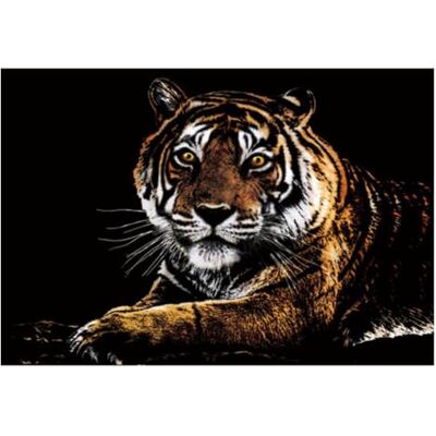 Generic Tiger Rainbow Scratch Paper Scratchboard Art für Jugendliche und Regenbogen-Kratzpapier Set mit 3 Werkzeugen, Scratch-Malen für Jugendliche & Erwachsene, 39,9 x 29,2 cm, Foliengravur, Generic Tiger Rainbow Scratch Paper Scratchboard Art für Jugendliche und Regenbogen-Kratzpapier Set mit 3 Werkzeugen, Scratch-Malen für Jugendliche & Erwachsene, 39,9 x 29,2 cm, Foliengravur,