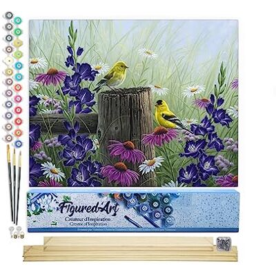 ART Malen Nach Zahlen Erwachsene Mit Rahmen Stieglitz Pärchen Paint by Numbers Basteln DIY Bastelset 40x50cm Mit Keilrahmen (nicht gespannt) ART Malen Nach Zahlen Erwachsene Mit Rahmen Stieglitz Pärchen Paint by Numbers Basteln DIY Bastelset 40x50cm Mit Keilrahmen (nicht gespannt)