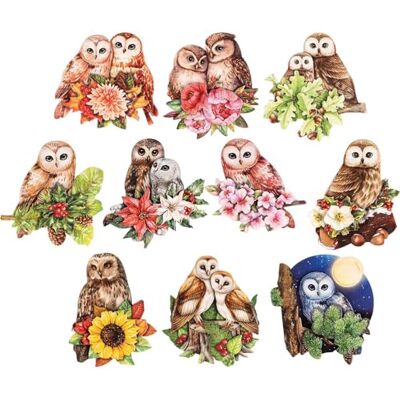 Ideen mit Herz 3-D Motive, ausgestanzt, ca. 7-10 cm, 10 Stück im Beutel Bilder zum Basteln & Dekorieren Grußkarten selber machen Bildmotive für Scrapbooking & DIY-Deko (Eulen) Ideen mit Herz 3-D Motive, ausgestanzt, ca. 7-10 cm, 10 Stück im Beutel Bilder zum Basteln & Dekorieren Grußkarten selber machen Bildmotive für Scrapbooking & DIY-Deko (Eulen)