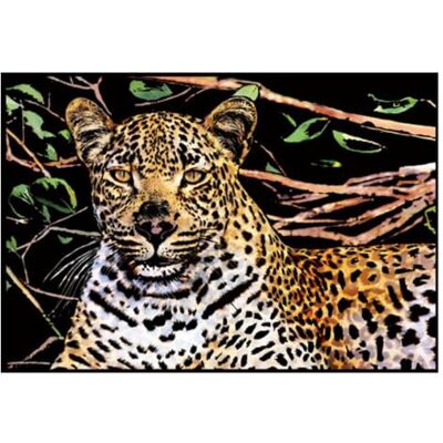 Generic Cheetah Scratchboard Art für Jugendliche und Erwachsene mit 3 Werkzeugen Palette mit Regenbogen-Scratchpapier, 3 Werkzeuge, Skizzenblöcke, 39,9 x 28,9 cm, Foliengravur, Kunstset, kreatives Basteln Generic Cheetah Scratchboard Art für Jugendliche und Erwachsene mit 3 Werkzeugen Palette mit Regenbogen-Scratchpapier, 3 Werkzeuge, Skizzenblöcke, 39,9 x 28,9 cm, Foliengravur, Kunstset, kreatives Basteln
