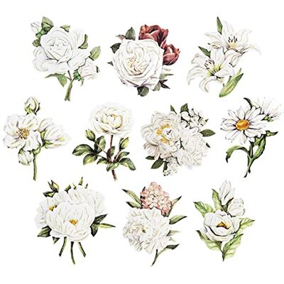 Ideen mit Herz 3-D Motive, ausgestanzt, ca. 7-10 cm, 10 Stück im Beutel Bilder zum Basteln & Dekorieren Grußkarten selber machen Bildmotive für Scrapbooking & DIY-Deko (Blumen in Weiß) Ideen mit Herz 3-D Motive, ausgestanzt, ca. 7-10 cm, 10 Stück im Beutel Bilder zum Basteln & Dekorieren Grußkarten selber machen Bildmotive für Scrapbooking & DIY-Deko (Blumen in Weiß)