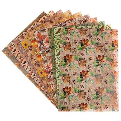 Ideen mit Herz Dekorpapier Motiv-Transparentpapiere Deluxe geprägt farbig Spotlack-veredelt DIN A4 150g/m² 10 Bogen Bastelpapier mit Muster (Herbst) Ideen mit Herz Dekorpapier Motiv-Transparentpapiere Deluxe geprägt farbig Spotlack-veredelt DIN A4 150g/m² 10 Bogen Bastelpapier mit Muster (Herbst)