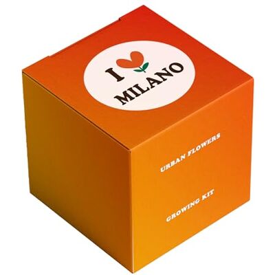 Resetea Blumenanbauset "I Love Milano" mit Herz-Samenbombe Mohn, Lavendel, Gänseblümchen Original Mailand Geschenk Einfach zu Hause anzubauen Resetea Blumenanbauset "I Love Milano" mit Herz-Samenbombe Mohn, Lavendel, Gänseblümchen Original Mailand Geschenk Einfach zu Hause anzubauen
