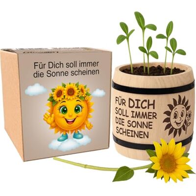 KRONLY Sonnenblumen Anzuchtset mit Geschenkbox, Für Dich Soll Immer Die Sonne Scheinen, Dekoratives Pflanzset mit Holztopf, Geschenk für Frauen KRONLY Sonnenblumen Anzuchtset mit Geschenkbox, Für Dich Soll Immer Die Sonne Scheinen, Dekoratives Pflanzset mit Holztopf, Geschenk für Frauen