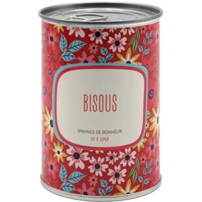 MauvaisesGraines-kits à semer Malvaises Saatgut© – Set mit Blumen zum Aussaaten "Küssen" – originelle Geschenkidee für Damen Herren Freunde Familie Collegue Party Geburtstag – sehr einfach zu bedienen – 100 % hergestellt in MauvaisesGraines-kits à semer Malvaises Saatgut© – Set mit Blumen zum Aussaaten "Küssen" – originelle Geschenkidee für Damen Herren Freunde Familie Collegue Party Geburtstag – sehr einfach zu bedienen – 100 % hergestellt in