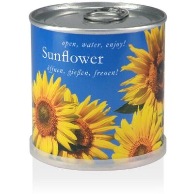 MacFlowers Kleines Anzuchtset mit Sonnenblumen Design Blau Gelb Geschenkset mit Einer Sorte Samen in süßer instant Blumendose MacFlowers Kleines Anzuchtset mit Sonnenblumen Design Blau Gelb Geschenkset mit Einer Sorte Samen in süßer instant Blumendose