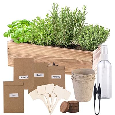 Royal Gardineer Pflanzen Aufzucht Set: Geschenkbox Anzuchtset italienische Kräuter mit Samen, Schere, Sprüher (Kräuter-Anzuchtset Fensterbank, italienische Pflanzen, Pasta) Royal Gardineer Pflanzen Aufzucht Set: Geschenkbox Anzuchtset italienische Kräuter mit Samen, Schere, Sprüher (Kräuter-Anzuchtset Fensterbank, italienische Pflanzen, Pasta)
