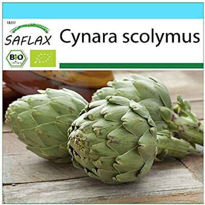Saflax Geschenk Set BIO Artischocke Imperial Star 5 Samen Mit Geschenk- / Versandbox, Versandaufkleber, Geschenkkarte und Anzuchtsubstrat Cynara scolymus Saflax Geschenk Set BIO Artischocke Imperial Star 5 Samen Mit Geschenk- / Versandbox, Versandaufkleber, Geschenkkarte und Anzuchtsubstrat Cynara scolymus