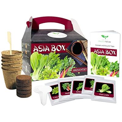 Magic of Nature Asia Box Anzuchtset – Asiatisches Kräuter & Gemüse Geschenk Asia Geschenkset für Hobbyköche – Komplettes Samen Pflanzset Magic of Nature Asia Box Anzuchtset – Asiatisches Kräuter & Gemüse Geschenk Asia Geschenkset für Hobbyköche – Komplettes Samen Pflanzset