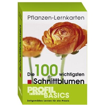 Profil-floral Basics Blooms Lernkarten: 100 wichtigste Schnittblumen Botanisches Wissen und Fähigkeiten Pflanzen/Blumen Schlicht und edukativ Profil-floral Basics Blooms Lernkarten: 100 wichtigste Schnittblumen Botanisches Wissen und Fähigkeiten Pflanzen/Blumen Schlicht und edukativ