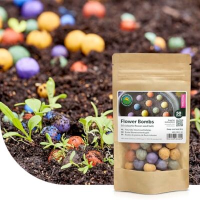 MRS Seeds & Mixtures Flower Bombs: 50 x Samenbomben 'Originals', 100% Bio-Samen, Wildblumenbomben, bunt und fröhlich, mit Liebe handgefertigt ein schönes Geschenk zum Verschenken! MRS Seeds & Mixtures Flower Bombs: 50 x Samenbomben 'Originals', 100% Bio-Samen, Wildblumenbomben, bunt und fröhlich, mit Liebe handgefertigt ein schönes Geschenk zum Verschenken!