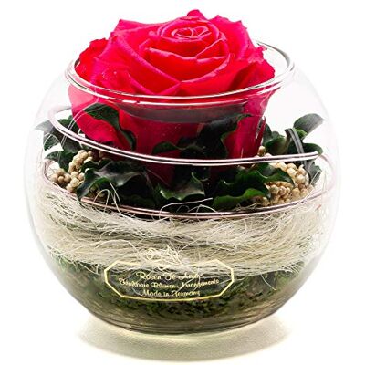 Rosen-Te-Amo , Ewige Rose im Glas mit Rosenduft, pink, Handgefertigt Echte Konservierte Rose in Geschenkbox Geschenk für Frauen, Mama Rose zum Weihnachten, Valentinstag, Muttertag, Deko Geschenk Rosen-Te-Amo , Ewige Rose im Glas mit Rosenduft, pink, Handgefertigt Echte Konservierte Rose in Geschenkbox Geschenk für Frauen, Mama Rose zum Weihnachten, Valentinstag, Muttertag, Deko Geschenk