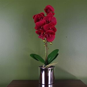 Leaf 46cm Künstliche Orchidee Rot - Künstliche Orchidee Leaf 46cm Künstliche Orchidee Rot - Künstliche Orchidee