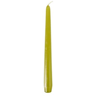PAPSTAR Pappstar Leuchterkerzen olivgrün, 2,2 x 25cm (50 Stück) PAPSTAR Pappstar Leuchterkerzen olivgrün, 2,2 x 25cm (50 Stück)