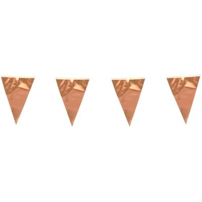BF Souvenirs Wimpelkette 10m aus Kunststoff – Große Wimpel 20x30 cm – Wetterfeste Girlande für Indoor & Outdoor – Reißfest & Wiederverwendbar – Party Deko für Geburtstag, Hochzeit (Rosegold) BF Souvenirs Wimpelkette 10m aus Kunststoff – Große Wimpel 20x30 cm – Wetterfeste Girlande für Indoor & Outdoor – Reißfest & Wiederverwendbar – Party Deko für Geburtstag, Hochzeit (Rosegold)