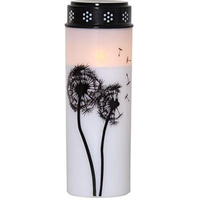 Star Trading Star LED-Grablicht 'Dandelion', Farbe: weiÃ/schwarz, Star Trading Star LED-Grablicht 'Dandelion', Farbe: weiÃ/schwarz,