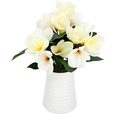 Flair Flower Frangipani im Topf Plumeria Blütenbusch Künstlich Wachsblume Tischdeko Mittelstück Hochzeitsdeko Kunstblumen Zimmerpflanze Kunstpflanze Blumen Unechte Deko Blütenpflanze Blumenschmuck, creme Flair Flower Frangipani im Topf Plumeria Blütenbusch Künstlich Wachsblume Tischdeko Mittelstück Hochzeitsdeko Kunstblumen Zimmerpflanze Kunstpflanze Blumen Unechte Deko Blütenpflanze Blumenschmuck, creme
