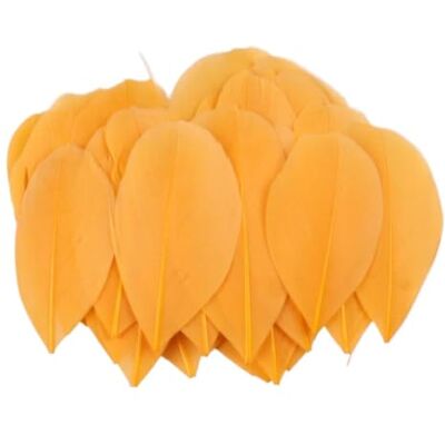 MDSRFGN JHSDHYD Federn Dekoration Mini-Gänsefedern, 5–8 cm, farbig, for Basteln DIY Schmuck Traumfänger Anhänger Plume Decor Supplies(Orange,100 PCS) MDSRFGN JHSDHYD Federn Dekoration Mini-Gänsefedern, 5–8 cm, farbig, for Basteln DIY Schmuck Traumfänger Anhänger Plume Decor Supplies(Orange,100 PCS)