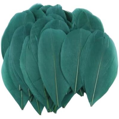 MDSRFGN JHSDHYD Federn Dekoration Mini-Gänsefedern, 5–8 cm, farbig, for Basteln DIY Schmuck Traumfänger Anhänger Plume Decor Supplies(Deep Green,50PCS) MDSRFGN JHSDHYD Federn Dekoration Mini-Gänsefedern, 5–8 cm, farbig, for Basteln DIY Schmuck Traumfänger Anhänger Plume Decor Supplies(Deep Green,50PCS)