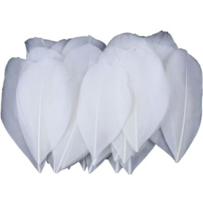 MDSRFGN JHSDHYD Federn Dekoration Mini-Gänsefedern, 5–8 cm, farbig, for Basteln DIY Schmuck Traumfänger Anhänger Plume Decor Supplies(White,100 PCS) MDSRFGN JHSDHYD Federn Dekoration Mini-Gänsefedern, 5–8 cm, farbig, for Basteln DIY Schmuck Traumfänger Anhänger Plume Decor Supplies(White,100 PCS)