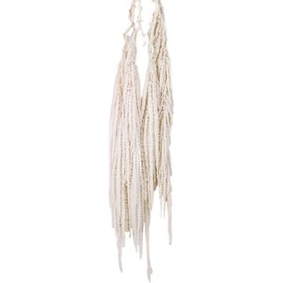 CNAFGBGG Getrockneter Blumenstrauß, 24–31, 5 hängende getrocknete Amaranthus, lebensechte natürliche Weinrebenblumen, Wiederverwendbare Pflanzen für Hochzeitsstrauß, Wand, Zuhause, Party-Dekoration, weiß... CNAFGBGG Getrockneter Blumenstrauß, 24–31, 5 hängende getrocknete Amaranthus, lebensechte natürliche Weinrebenblumen, Wiederverwendbare Pflanzen für Hochzeitsstrauß, Wand, Zuhause, Party-Dekoration, weiß...