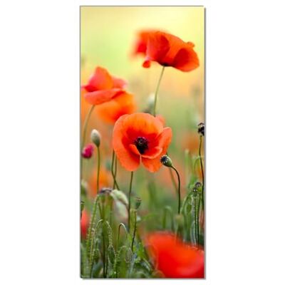 Wallario Selbstklebende Türtapete Mohnblumenblüten Türposter 93 x 205 cm Abwischbar, rückstandsfrei zu entfernen Wallario Selbstklebende Türtapete Mohnblumenblüten Türposter 93 x 205 cm Abwischbar, rückstandsfrei zu entfernen