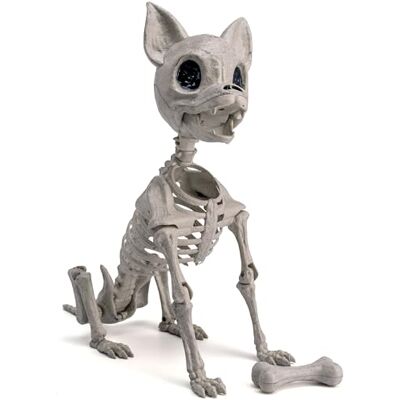 JOYIN Halloween Kunststoff Chihuahua Hund Skelett 32 cm Kunststoff Welpenknochen Skelett mit beweglichen Gelenken für Halloween Indoor Outdoor Skelett Dekorationen Friedhof Party Dekor JOYIN Halloween Kunststoff Chihuahua Hund Skelett 32 cm Kunststoff Welpenknochen Skelett mit beweglichen Gelenken für Halloween Indoor Outdoor Skelett Dekorationen Friedhof Party Dekor