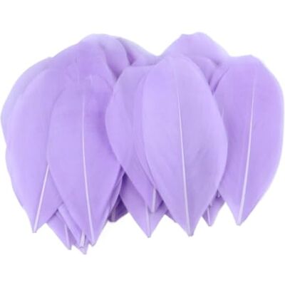MDSRFGN JHSDHYD Federn Dekoration Mini-Gänsefedern, 5–8 cm, farbig, for Basteln DIY Schmuck Traumfänger Anhänger Plume Decor Supplies(Light Purple,100 PCS) MDSRFGN JHSDHYD Federn Dekoration Mini-Gänsefedern, 5–8 cm, farbig, for Basteln DIY Schmuck Traumfänger Anhänger Plume Decor Supplies(Light Purple,100 PCS)
