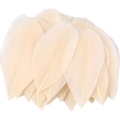 MDSRFGN JHSDHYD Federn Dekoration Mini-Gänsefedern, 5–8 cm, farbig, for Basteln DIY Schmuck Traumfänger Anhänger Plume Decor Supplies(Champagne,50PCS) MDSRFGN JHSDHYD Federn Dekoration Mini-Gänsefedern, 5–8 cm, farbig, for Basteln DIY Schmuck Traumfänger Anhänger Plume Decor Supplies(Champagne,50PCS)