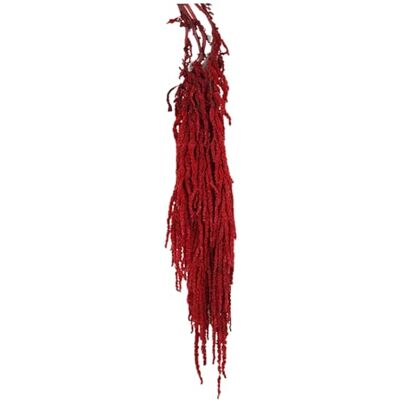 Comebachome Getrockneter Blumenstrauß, 24–31, 5 hängende getrocknete Amaranthus, lebensechte natürliche Weinrebenblumen, Wiederverwendbare Pflanzen für Hochzeitsstrauß, Wand, Zuhause, Party-Dekoration, dunkelrot Comebachome Getrockneter Blumenstrauß, 24–31, 5 hängende getrocknete Amaranthus, lebensechte natürliche Weinrebenblumen, Wiederverwendbare Pflanzen für Hochzeitsstrauß, Wand, Zuhause, Party-Dekoration, dunkelrot