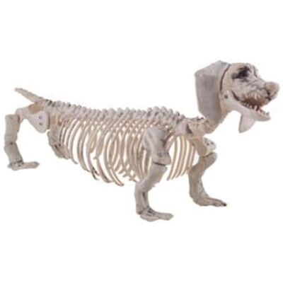 PARTY DISCOUNT NEU Halloween-Deko-Figur Dackel-Skelett, ca. 56x13x22cm PARTY DISCOUNT NEU Halloween-Deko-Figur Dackel-Skelett, ca. 56x13x22cm