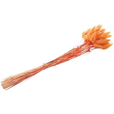 Qxckyag Getrocknete Blumen Orange 60Stk 43cm 60 orangefarbene Trockenblumen, ca. 43 cm , ideal für Herbstdeko, Vase und DIY-Projekte. Qxckyag Getrocknete Blumen Orange 60Stk 43cm 60 orangefarbene Trockenblumen, ca. 43 cm , ideal für Herbstdeko, Vase und DIY-Projekte.