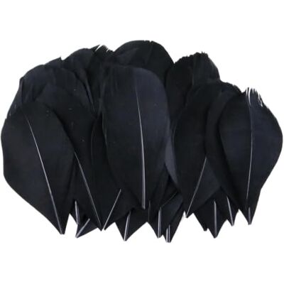 MDSRFGN JHSDHYD Federn Dekoration Mini-Gänsefedern, 5–8 cm, farbig, for Basteln DIY Schmuck Traumfänger Anhänger Plume Decor Supplies(Black,500PCS) MDSRFGN JHSDHYD Federn Dekoration Mini-Gänsefedern, 5–8 cm, farbig, for Basteln DIY Schmuck Traumfänger Anhänger Plume Decor Supplies(Black,500PCS)