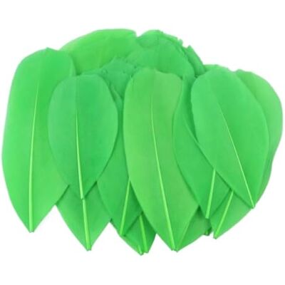 MDSRFGN JHSDHYD Federn Dekoration Mini-Gänsefedern, 5–8 cm, farbig, for Basteln DIY Schmuck Traumfänger Anhänger Plume Decor Supplies(Apple Green,500PCS) MDSRFGN JHSDHYD Federn Dekoration Mini-Gänsefedern, 5–8 cm, farbig, for Basteln DIY Schmuck Traumfänger Anhänger Plume Decor Supplies(Apple Green,500PCS)