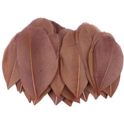 MDSRFGN JHSDHYD Federn Dekoration Mini-Gänsefedern, 5–8 cm, farbig, for Basteln DIY Schmuck Traumfänger Anhänger Plume Decor Supplies(Coffee,100 PCS) MDSRFGN JHSDHYD Federn Dekoration Mini-Gänsefedern, 5–8 cm, farbig, for Basteln DIY Schmuck Traumfänger Anhänger Plume Decor Supplies(Coffee,100 PCS)