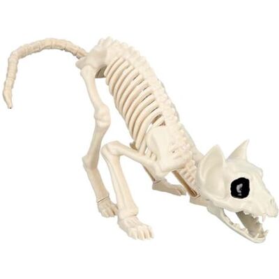 Boland Dekoration Skelett Katze, 50 x 15 x 17 cm Boland Dekoration Skelett Katze, 50 x 15 x 17 cm