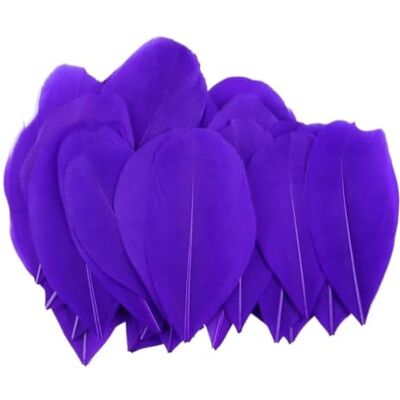 MDSRFGN JHSDHYD Federn Dekoration Mini-Gänsefedern, 5–8 cm, farbig, for Basteln DIY Schmuck Traumfänger Anhänger Plume Decor Supplies(Deep Purple,500PCS) MDSRFGN JHSDHYD Federn Dekoration Mini-Gänsefedern, 5–8 cm, farbig, for Basteln DIY Schmuck Traumfänger Anhänger Plume Decor Supplies(Deep Purple,500PCS)