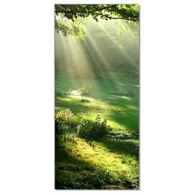 Wallario Selbstklebende Türtapete Sonnenstrahlen im Wald Türposter 93 x 205 cm Abwischbar, rückstandsfrei zu entfernen Wallario Selbstklebende Türtapete Sonnenstrahlen im Wald Türposter 93 x 205 cm Abwischbar, rückstandsfrei zu entfernen