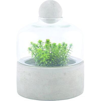 Esschert Design Anzuchtflasche Betonschale S aus Beton und Glas, 18,0 x 18,0 x 23,6 cm Esschert Design Anzuchtflasche Betonschale S aus Beton und Glas, 18,0 x 18,0 x 23,6 cm
