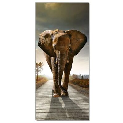 Wallario Selbstklebende Türtapete Elefant bei Sonnenaufgang in Afrika Türposter 93 x 205 cm Abwischbar, rückstandsfrei zu entfernen Wallario Selbstklebende Türtapete Elefant bei Sonnenaufgang in Afrika Türposter 93 x 205 cm Abwischbar, rückstandsfrei zu entfernen